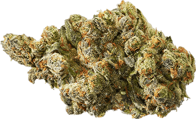 Blue Haze image 1