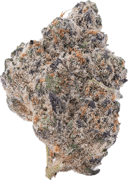 Cold Cookies