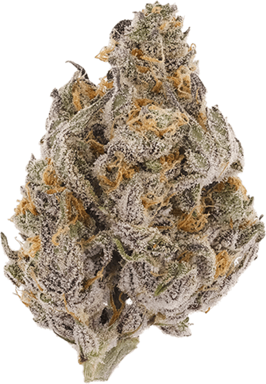 Wedding Kush